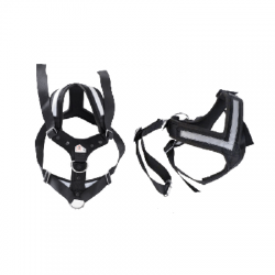 Crash Tested Harness